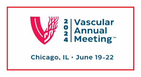 Join ALPS at VAM 2024